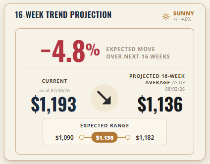 Hot-Rolled Steel 16-Week Trend Projection